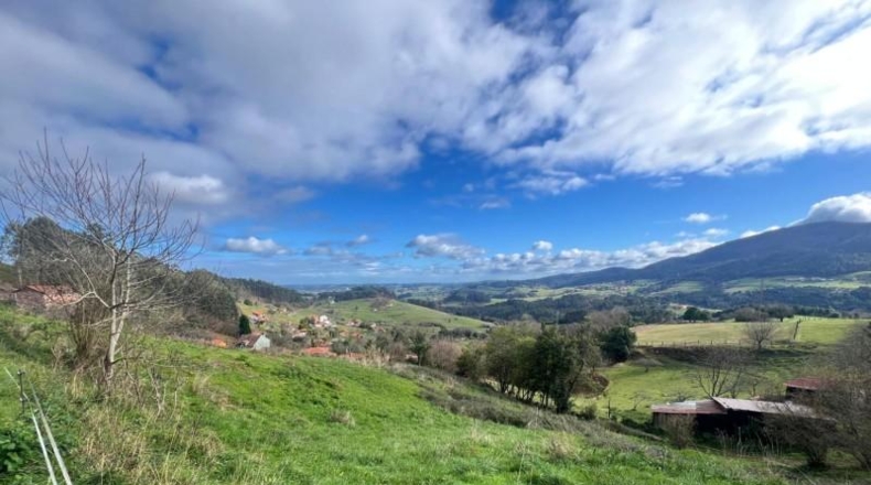 Asturias - Pidri - 3980m2