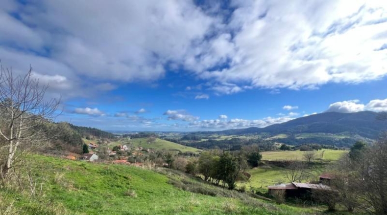 Asturias - Pidri - 3980m2