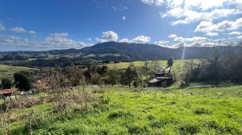 Asturias - Pidri - 3980m2