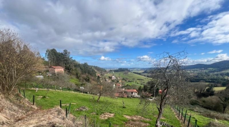 Asturias - Pidri - 3980m2