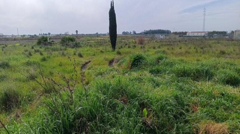 Cádiz - Chipiona - 5000m2