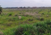 Terreny no urbanitzable en venda a la España, Chipiona, ref.: TR388670 foto