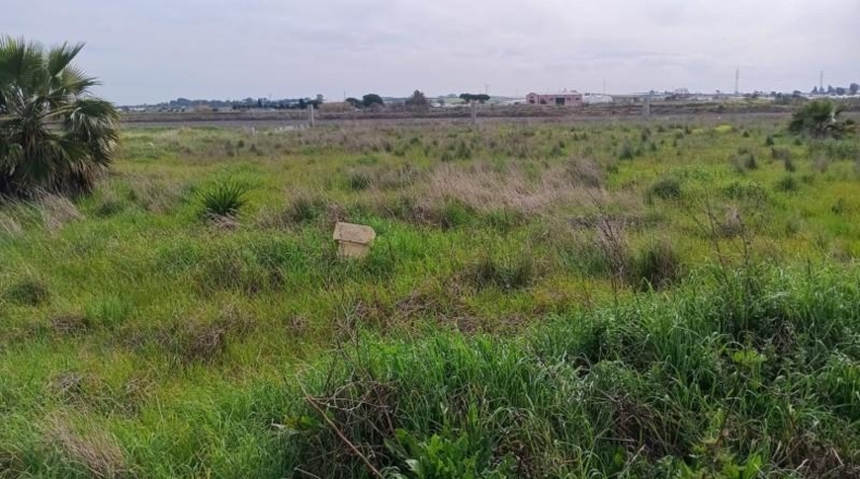 Cádiz - Chipiona - 5000m2