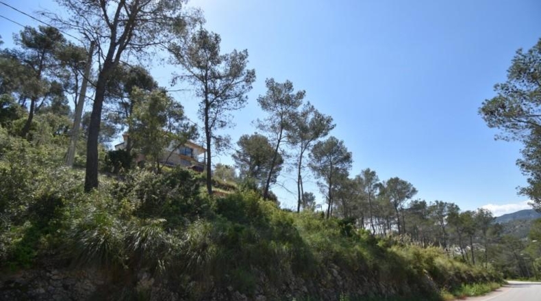 Barcelona - Olivella - 1104m2