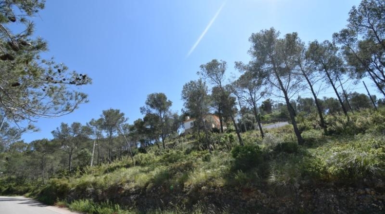 Barcelona - Olivella - 1104m2