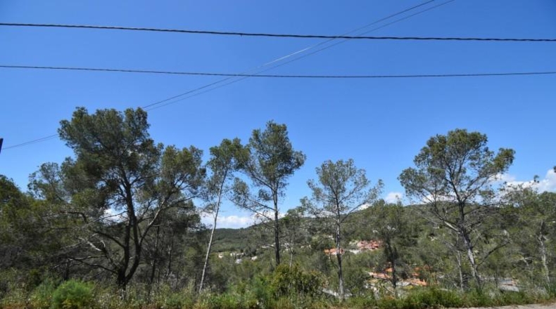 Barcelona - Olivella - 1104m2