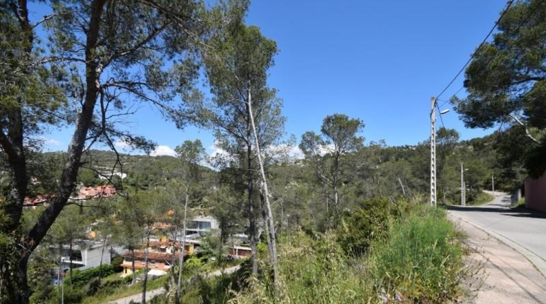 Barcelona - Olivella - 1104m2