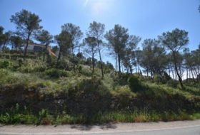 Olivella 1104&nbsp;m² 