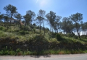 Sòl urbà en venda a la España, Olivella, ref.: TR389163 foto
