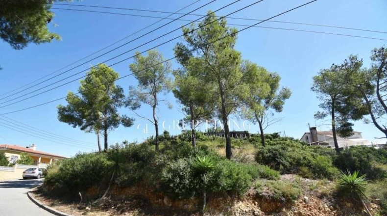 Barcelona - Olivella - 906m2