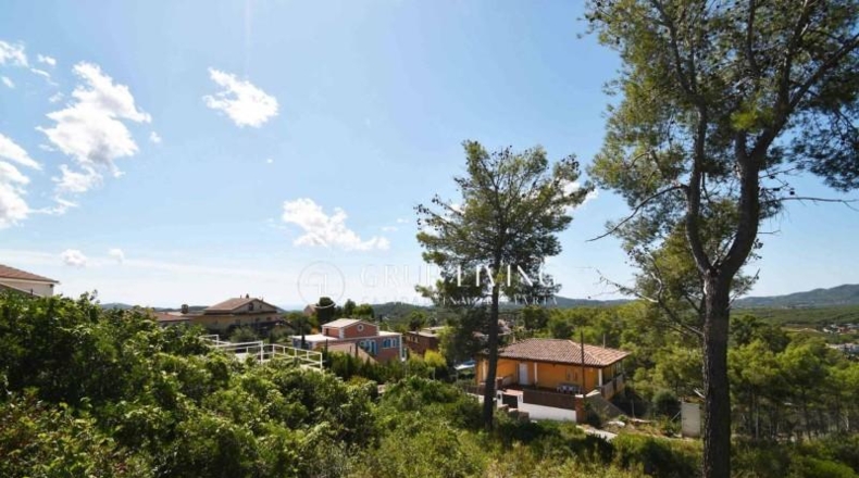 Barcelona - Olivella - 906m2