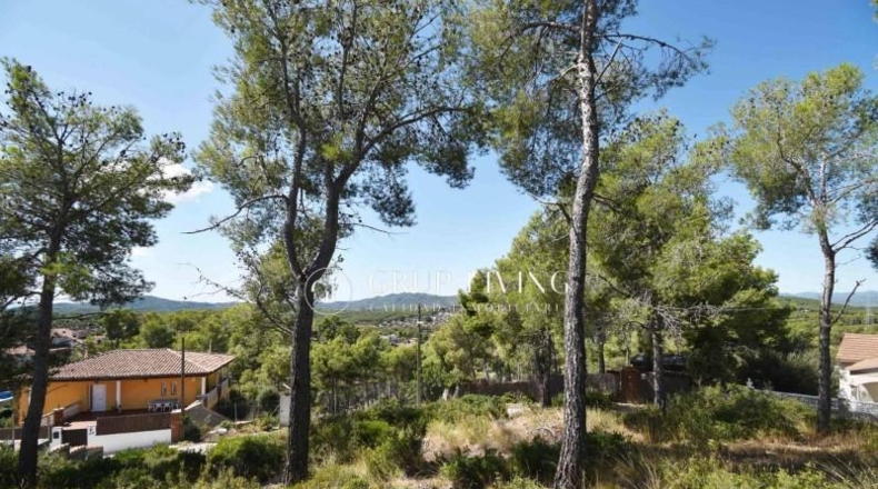 Barcelona - Olivella - 906m2