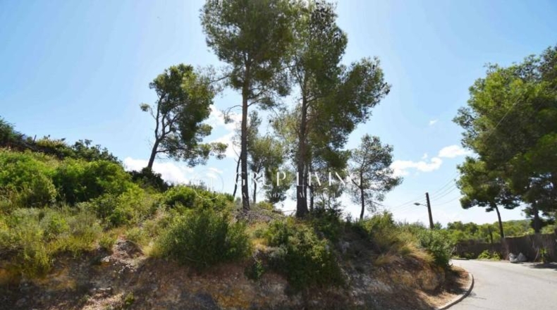 Barcelona - Olivella - 906m2