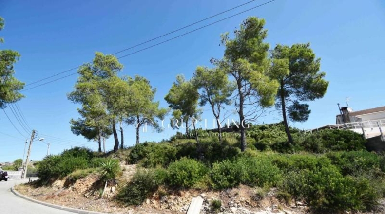 Barcelona - Olivella - 906m2