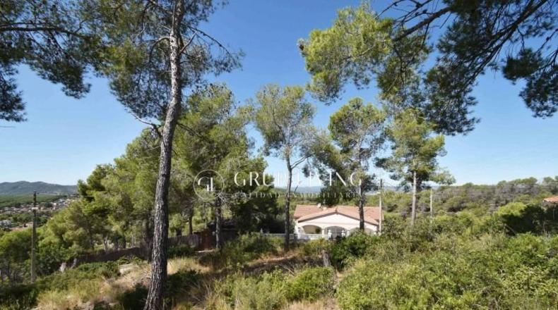 Barcelona - Olivella - 906m2