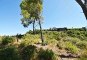 Sòl urbà en venda a la España, Olivella, ref.: TR389303 foto
