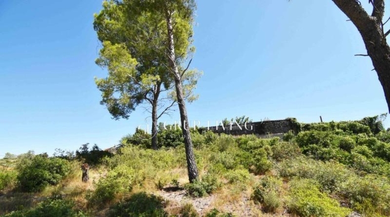 Barcelona - Olivella - 906m2