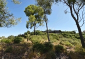 Sòl urbà en venda a la España, Olivella, ref.: TR389303 foto