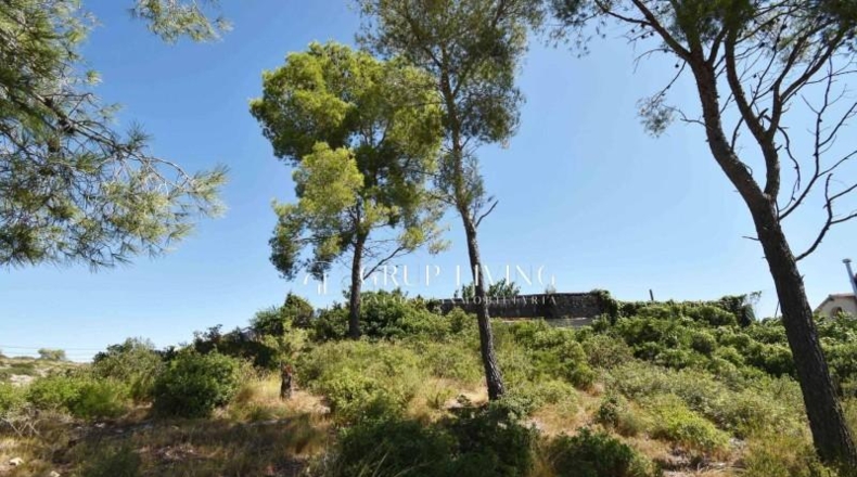 Barcelona - Olivella - 906m2