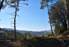 Olivella 984&nbsp;m²