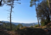 Sòl urbà en venda a la España, Olivella, ref.: TR388603 foto