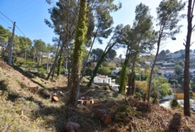 Olivella 984&nbsp;m²