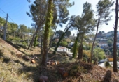 Sòl urbà en venda a la España, Olivella, ref.: TR388603 foto