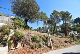 Olivella 984&nbsp;m²