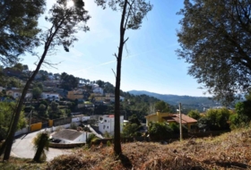 Olivella 984&nbsp;m²