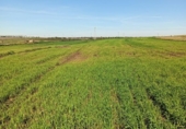 Non-developable land for sale on España, San Juan del Puerto, ref: TR389053 photo
