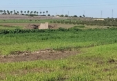 Non-developable land for sale on España, San Juan del Puerto, ref: TR389053 photo