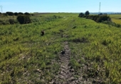 Non-developable land for sale on España, San Juan del Puerto, ref: TR389053 photo