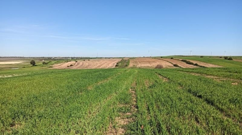 Huelva - San Juan del Puerto - 36000m2