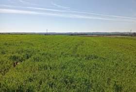 San Juan del Puerto 36000&nbsp;m²