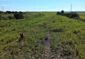 Non-developable land for sale on España, San Juan del Puerto, ref: TR389053 photo