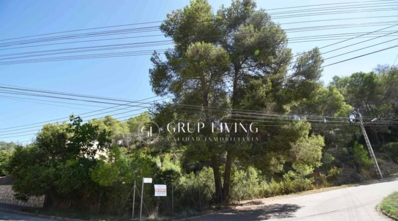 Barcelona - Olivella - 860m2