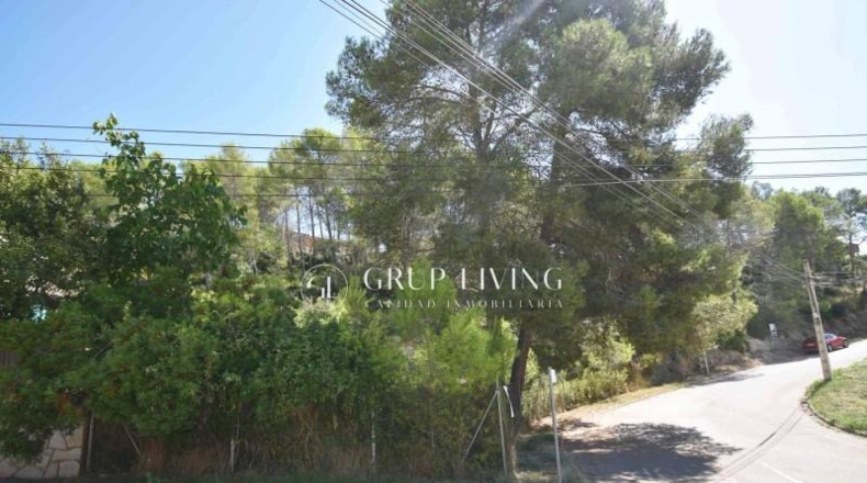 Barcelona - Olivella - 860m2