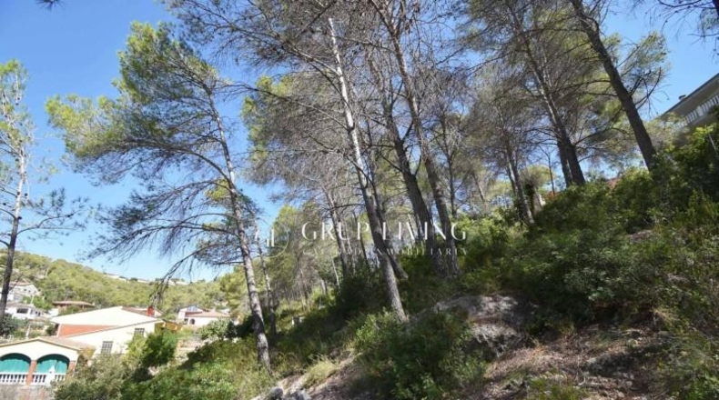 Barcelona - Olivella - 860m2