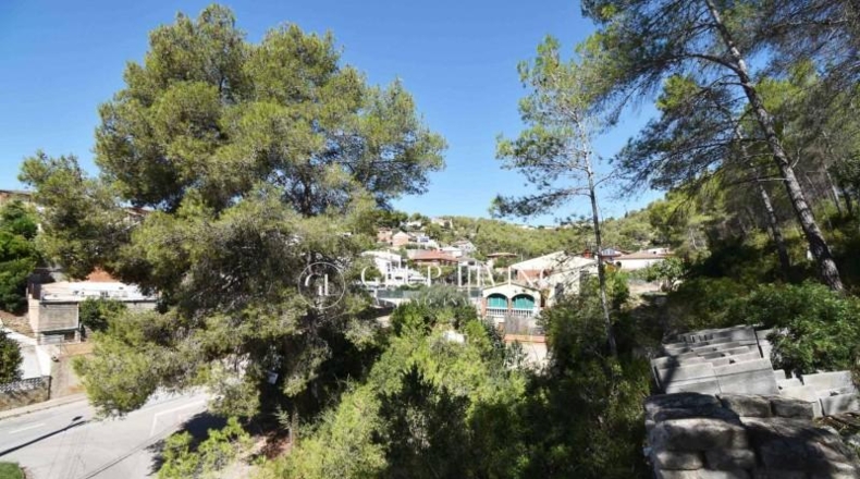 Barcelona - Olivella - 860m2