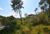 Sòl urbà en venda a la España, Olivella, ref.: TR388582 foto