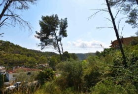 Olivella 921&nbsp;m²