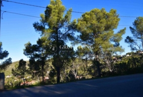 Olivella 1282&nbsp;m²