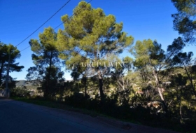 Olivella 1282&nbsp;m²