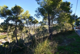 Olivella 1282&nbsp;m²