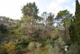 Olivella 628&nbsp;m²