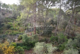 Olivella 628&nbsp;m²