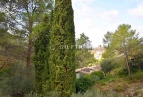 Olivella 628&nbsp;m²