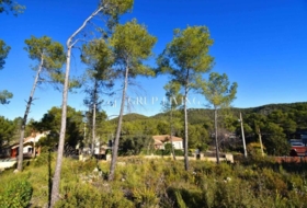 Olivella 1356&nbsp;m² 