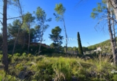 Parcel·la urbanitzable en venda a la España, Olivella, ref.: TR389238 foto