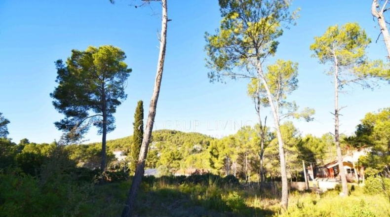 Barcelona - Olivella - 1356m2